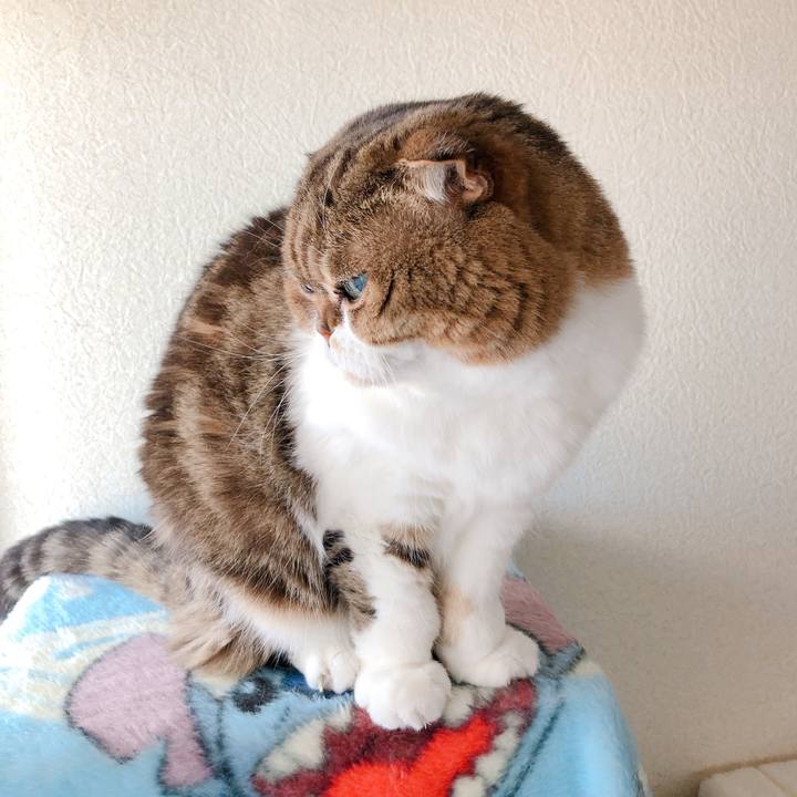 A1cd7a55 c398 4356 89d5 51054713d8f8 1580532022032