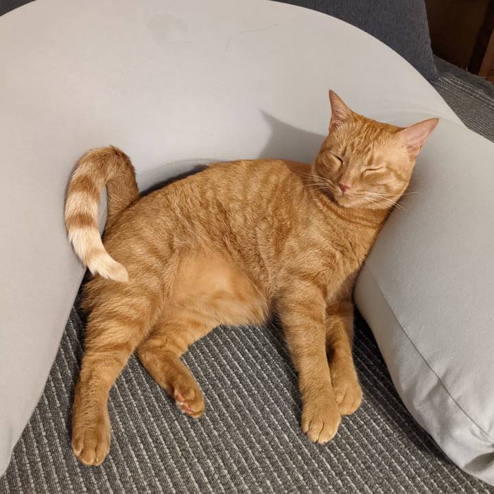 A1cd8202 be92 4192 8f7d d23323033517 1655784489886