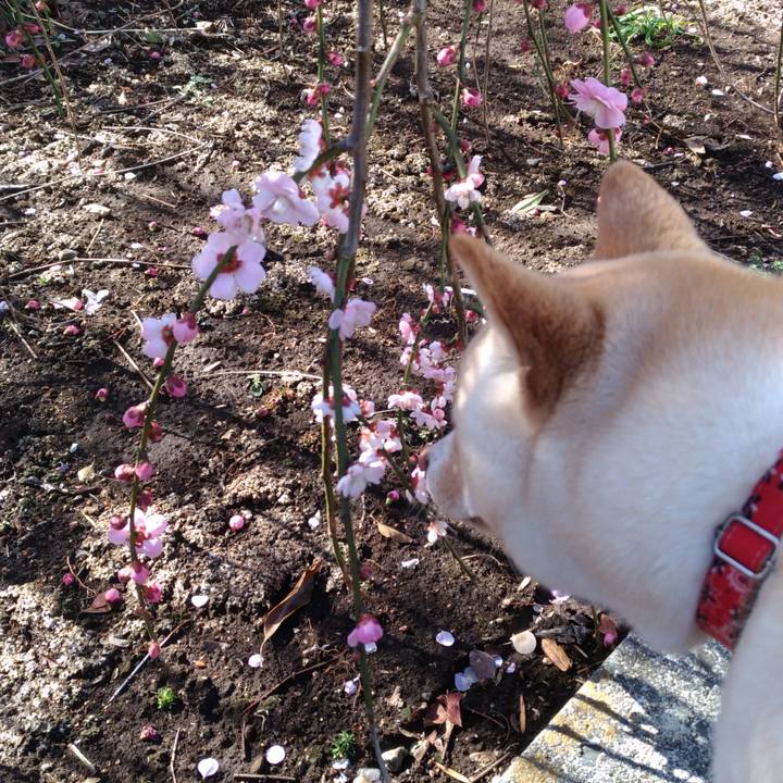 A1cdb97d f004 4b81 aa7a c93b2e38421f 1519906153700