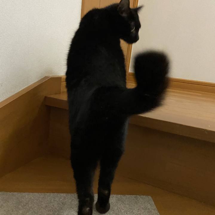 A1cde143 1da8 4f18 804d dbdd71dde37d 1637235954491