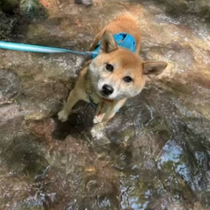 A1cde361 fc72 4c64 893a 92fdae9d4d45 1729814459993