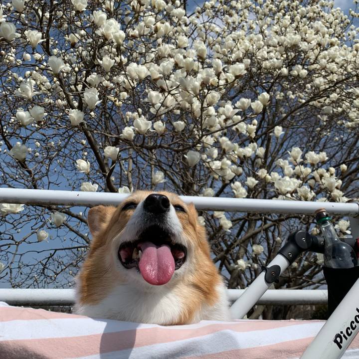 A1cdfa04 1d6c 405d 9de0 6d79cb4be668 1678594298695