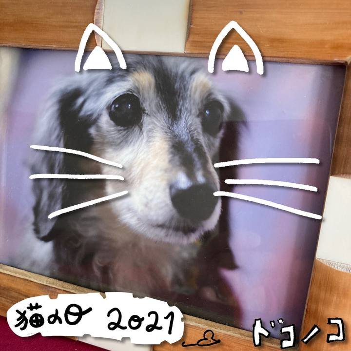 A1ce19d6 3cd2 423b 8f7a 4a44152d767a 1613972567338