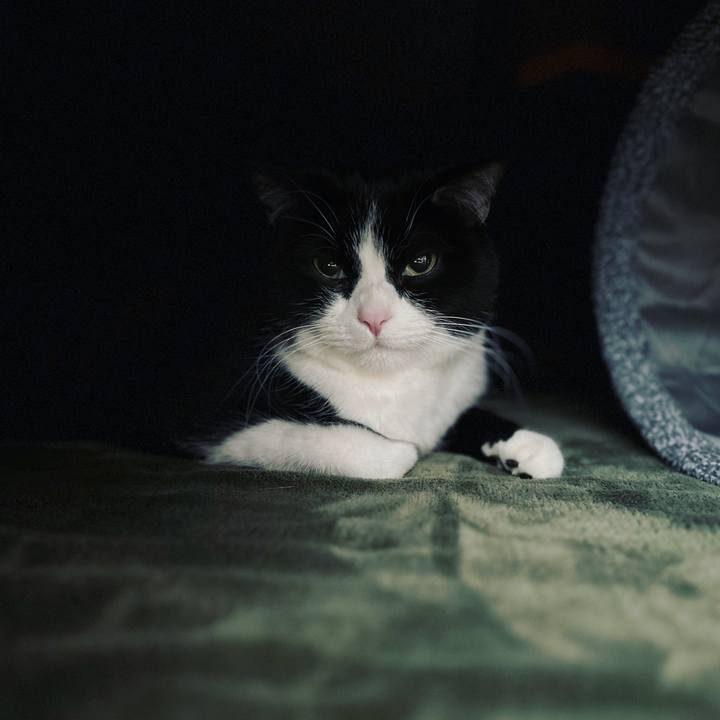 A1ce2284 cb64 4cc4 a77c f56933074e8b 1671800989847