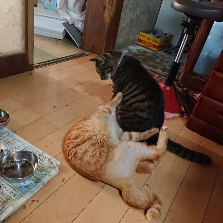 A1ce2ec2 d8dc 472e ba26 ebf00cca3c7a 1656192729747