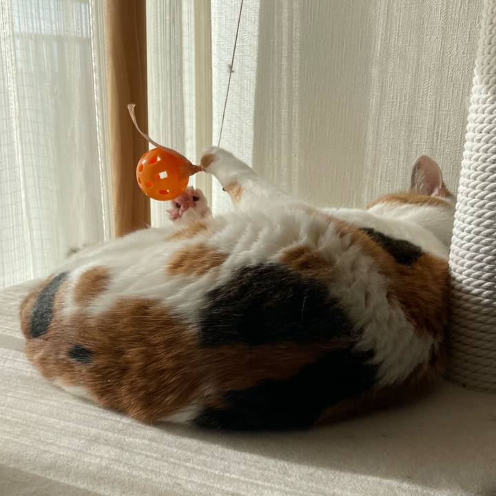 A1ce4d57 0310 4227 8f32 92dfca6b25ba 1709371752050