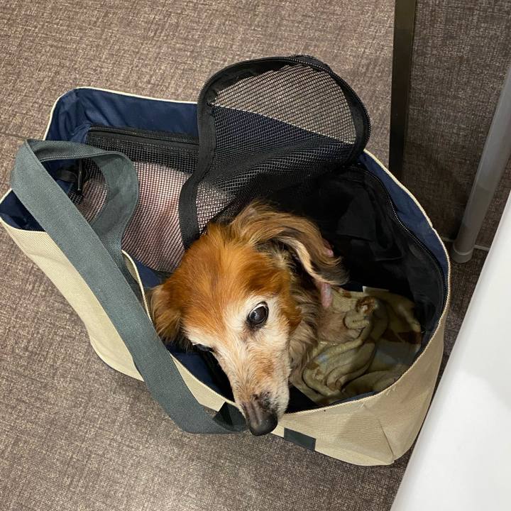 A1cea7f1 2edb 4d71 9aa2 719baa605cc5 1767705492667