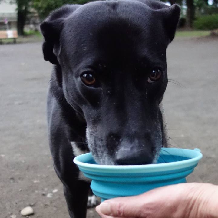 A1cee0f9 1235 4faf b508 f79a027e0fb0 1654856229438