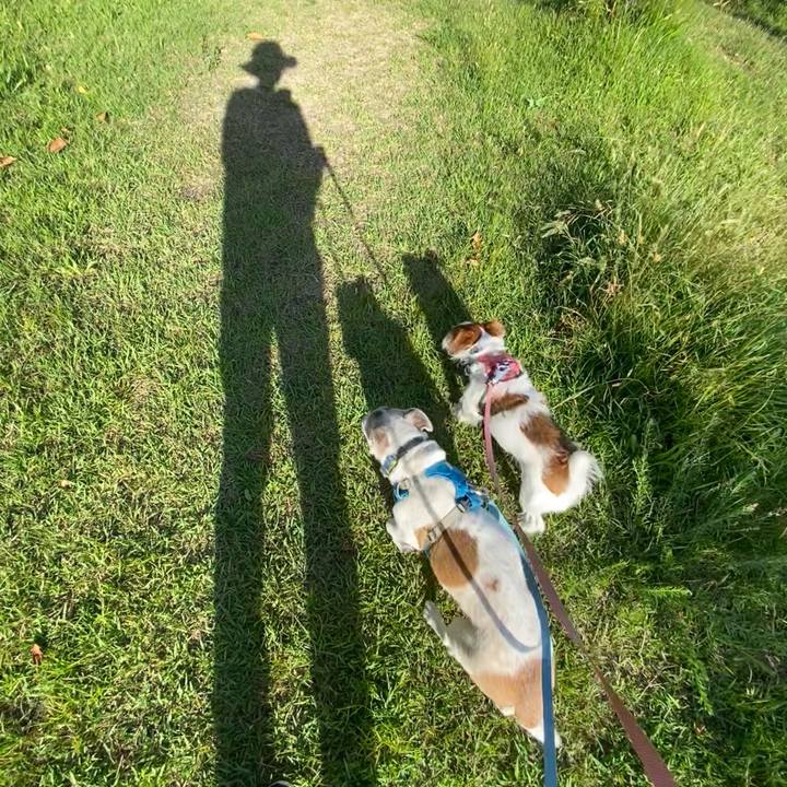 A1cef20a 3755 4fa1 b93d 871a2ef30d56 1716591688710