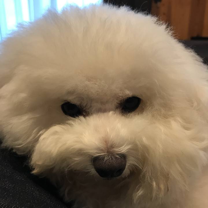 A1cef3bd 29f4 4d36 a602 db5b5c7a617e 1529049163038