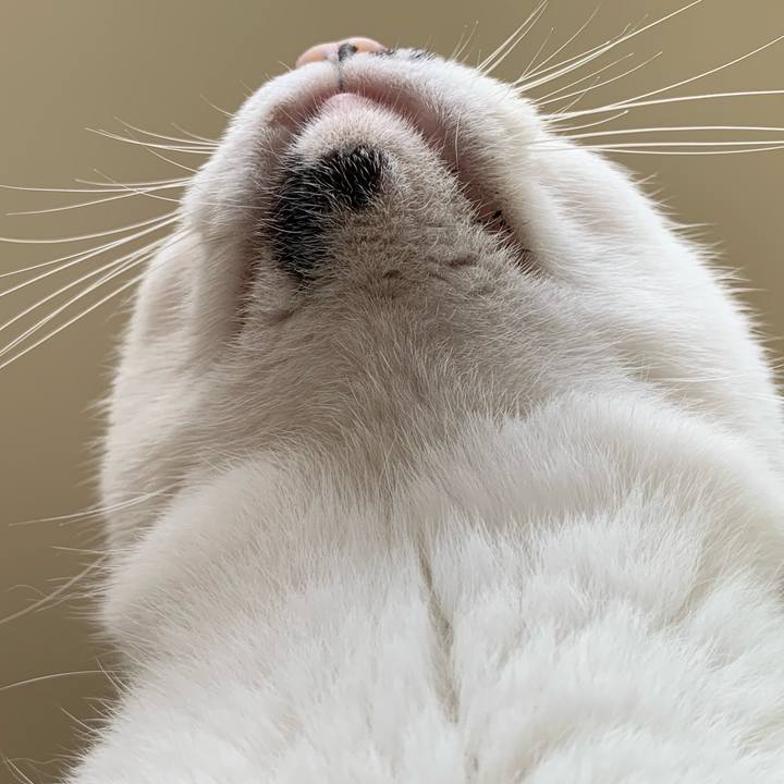 A1cf0502 949d 4d34 97a6 ab870c359b98 1725681790371