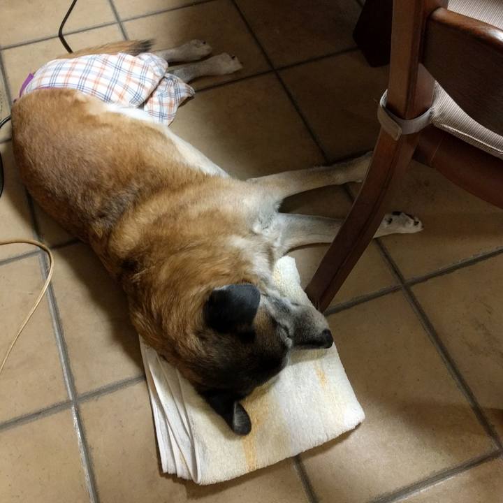 A1cf1cb7 7144 4d25 a5b3 c227508f8397 1517058728428