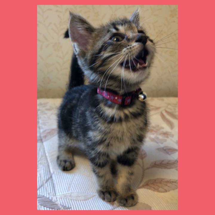 A1cf53bf d0af 4cbf a095 65ce4e9d5a5f 1724056020774