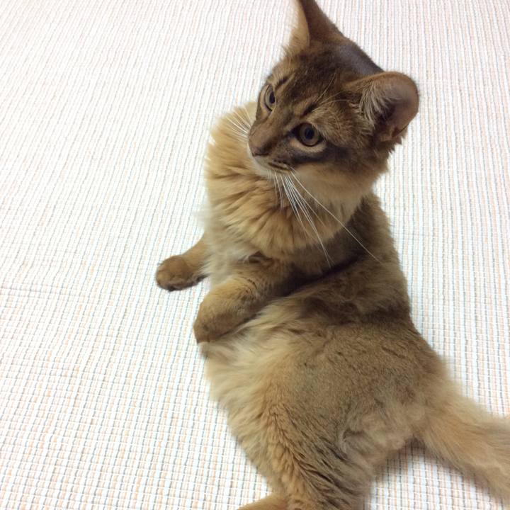 A1cf702c d086 4ff9 8cda 96872f03e58c 1590645642548