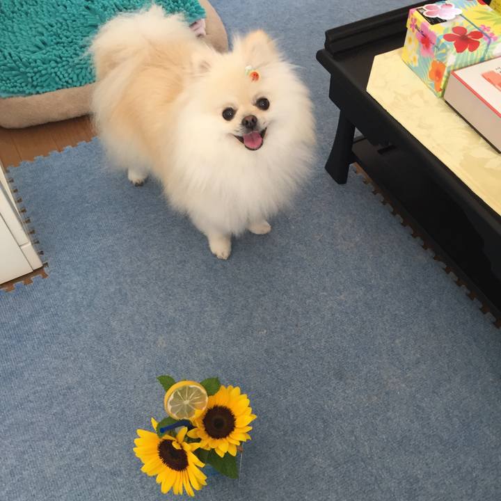 A1cf73b9 73ab 4c22 bd04 34b5c5c08200 1563509291959