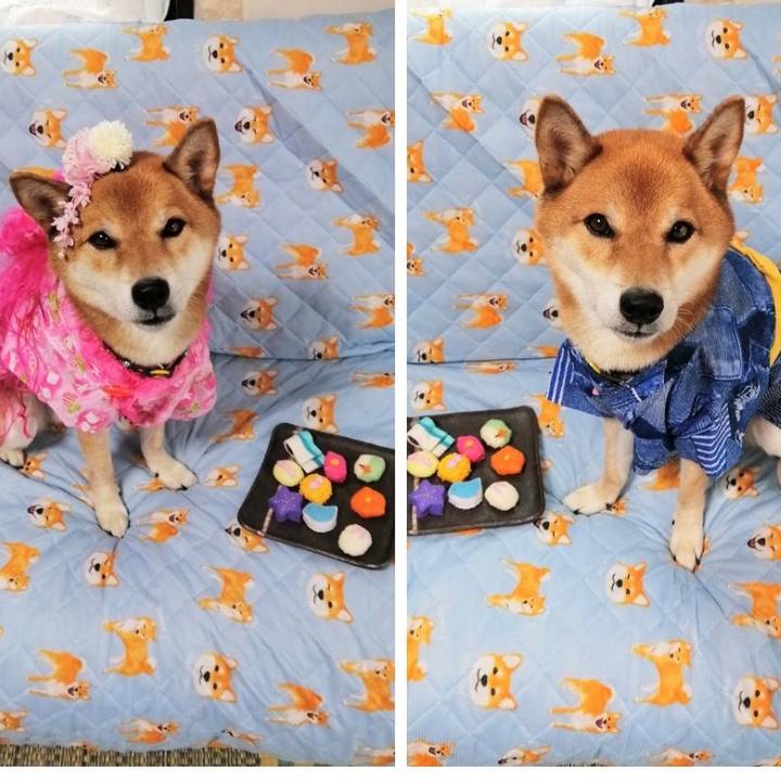 A1cf9967 bef2 4096 b0bc 8d13dd225d24 1598515581234