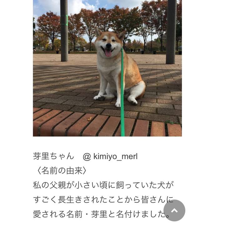 A1cfd03f 906b 4539 91c4 bf91bf9555e1 1646391514065