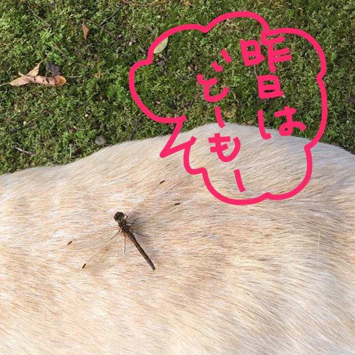 A1cfd843 d340 435a 973e 99a31bcbd79f 1548741703813