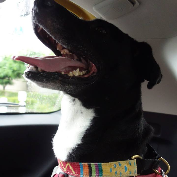 A1cfebbb 16f2 4db6 9f8d d3f8054d660b 1624144930295