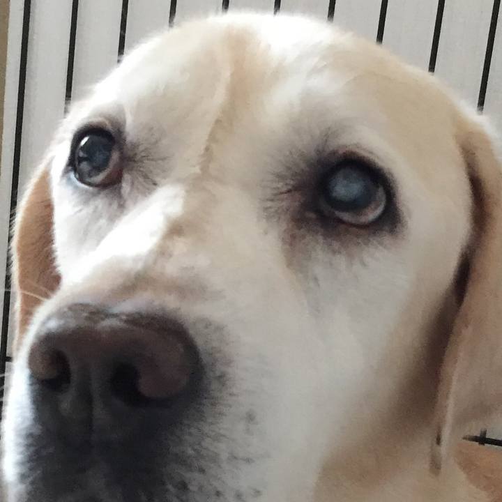 A1cffe3c 4b3a 48c0 ac0e 6b862460979c 1533734121514