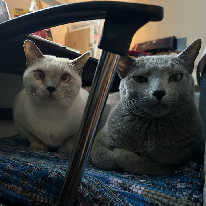 A1d03165 beab 4d1f a447 0b795cf9f514 1736753036935