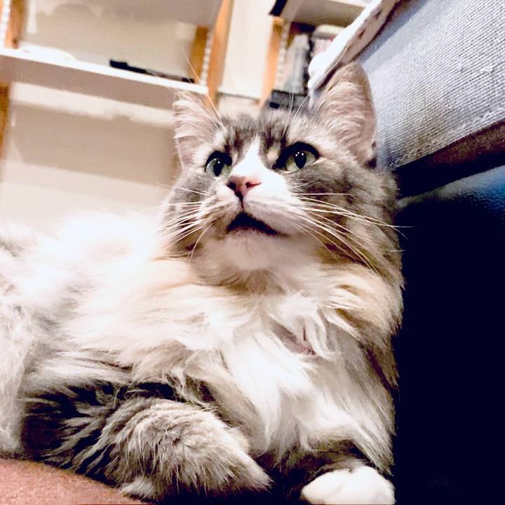 A1d03649 f3b9 4e71 88b1 9abd47ef83d5 1765381882099