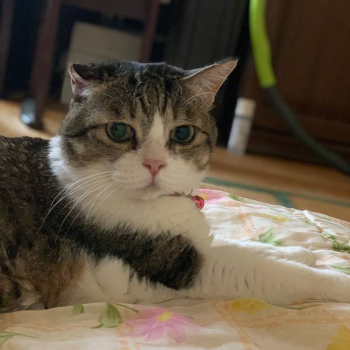 A1d04e1f b84a 40eb 8812 51bff57da796 1726446246952