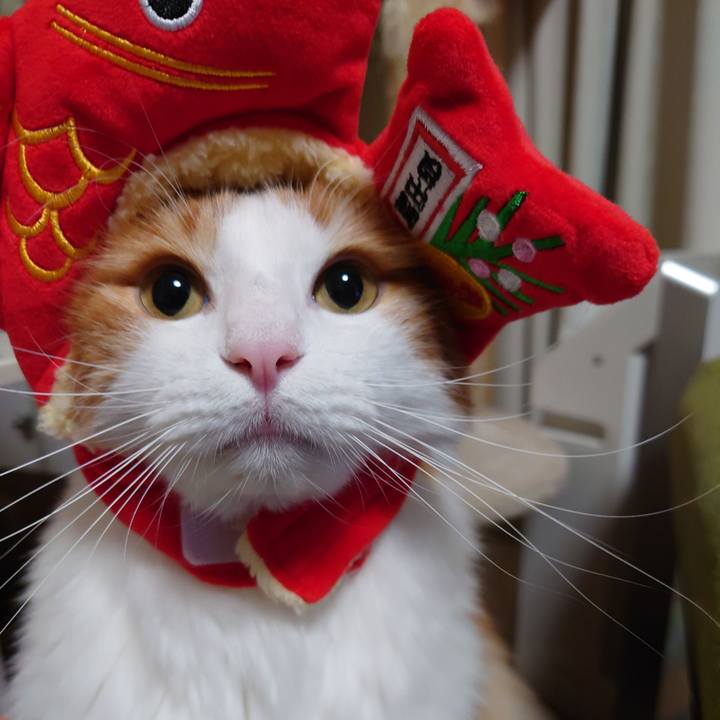 A1d054d2 d540 4135 aa3e b8a33e497aad 1614953558903