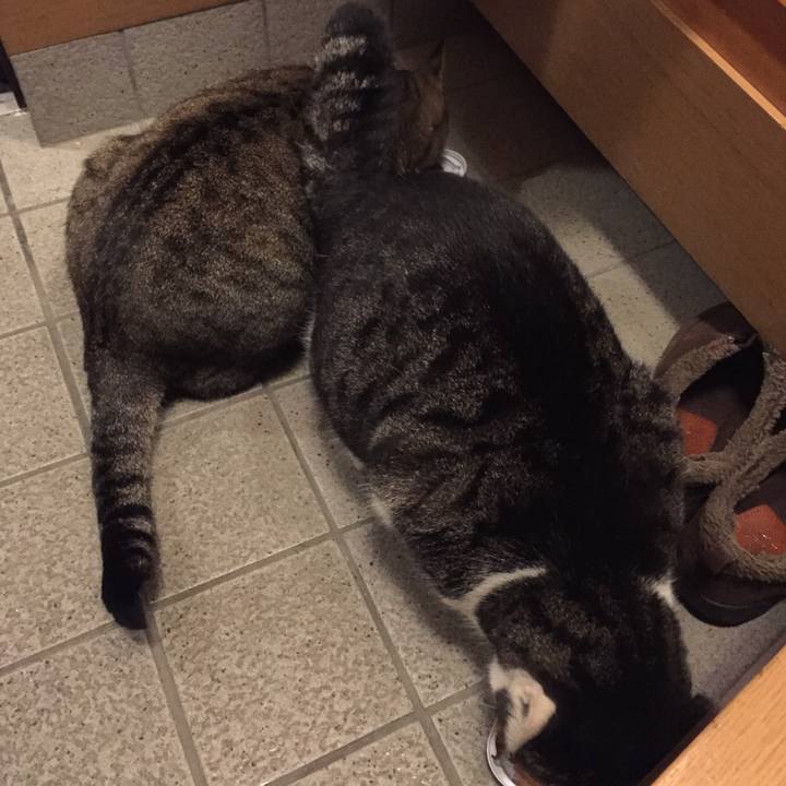 A1d05aea 37c0 44b4 9b76 ab52ce3d1876 1510996048280