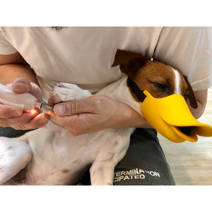 A1d0a06a 08cc 4785 8426 3d319bfe7d68 1597311973459