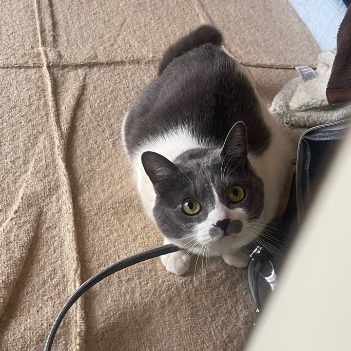 A1d0c635 2e1e 46c4 b89b d8ad8bad5460 1712273394589