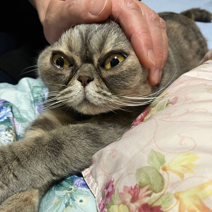 A1d0e8f1 5cc8 4c01 b05b ac29a72e3f61 1773834374598