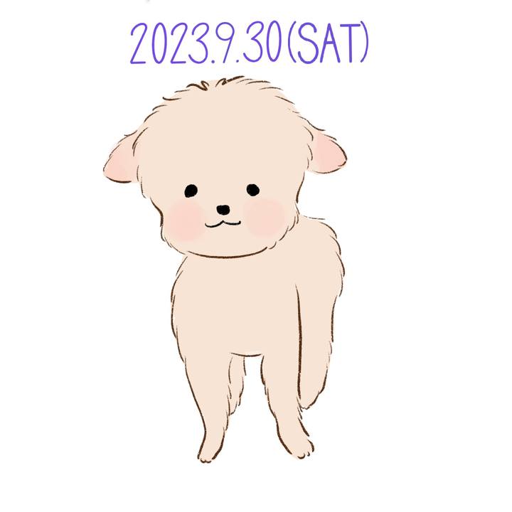 A1d0f156 37c2 41e8 af18 7a036dda20e0 1696082723831