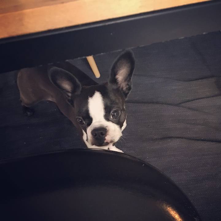 A1d101f2 0faa 4c90 9fc6 27a323521e41 1530971660237