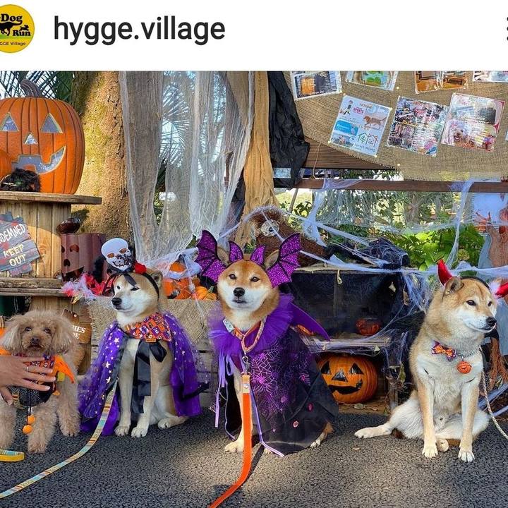 A1d1173c 3232 408b a1a6 09302fc30174 1635598337251