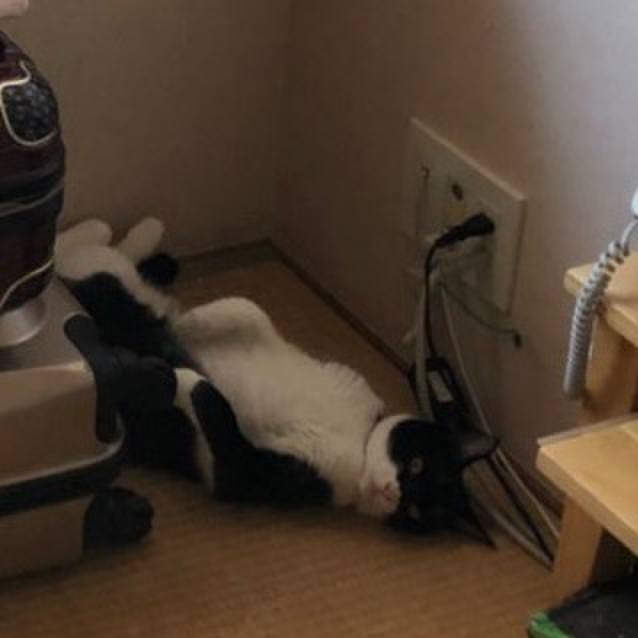 A1d17186 d658 4023 852f a7aeb0c4160e 1529655245745