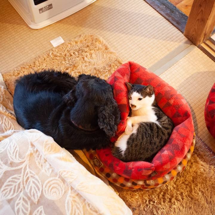 A1d1849a b760 4628 97f6 e6099b9cb7d8 1576683726046