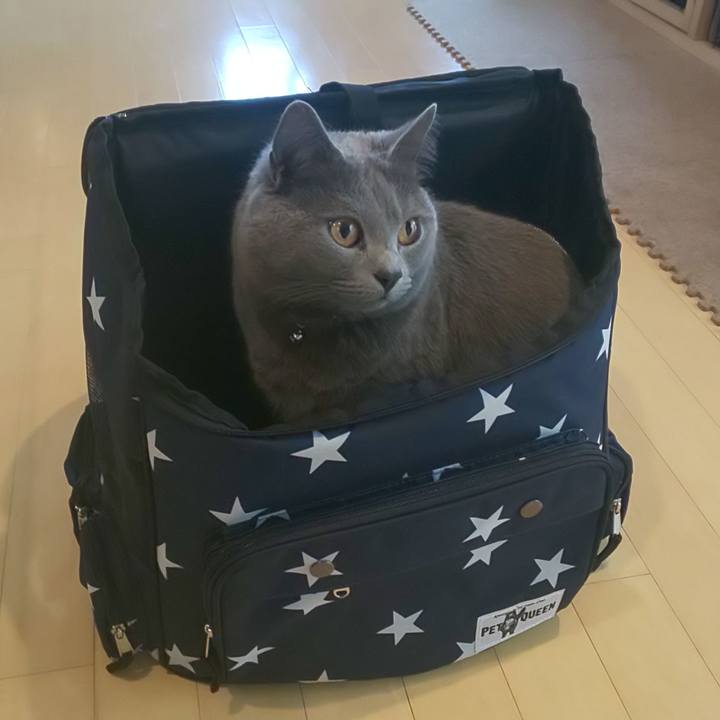 A1d19f96 6d9f 4107 a0cb 7d97bb0c1e40 1589691771922