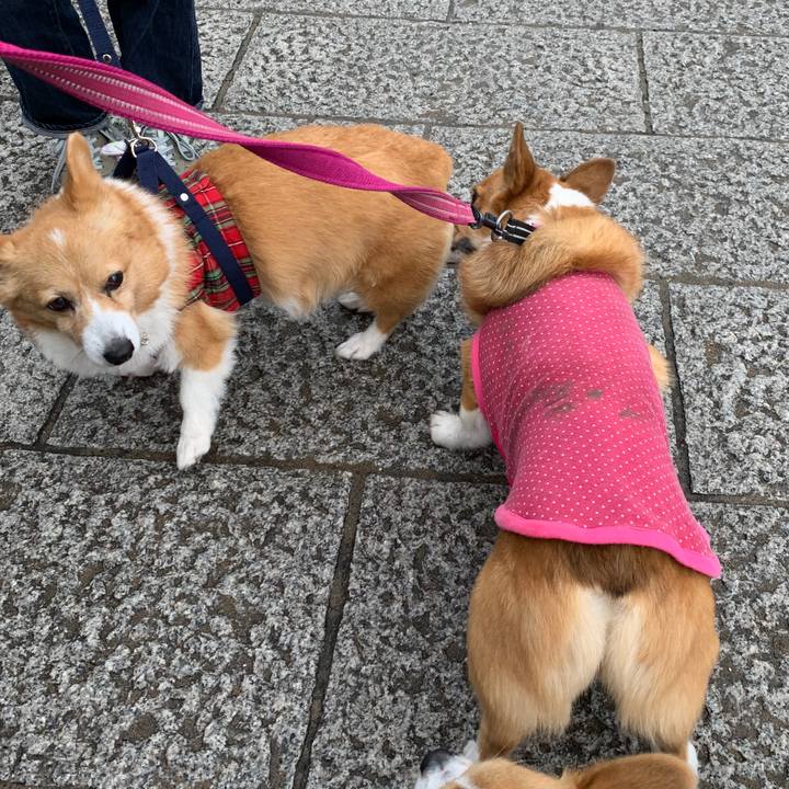 A1d1a081 5c81 4322 bc57 30441fa73e3f 1583668975068