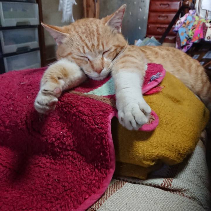 A1d1c1a4 4abb 4663 b29c 5739700c00bd 1556339162354