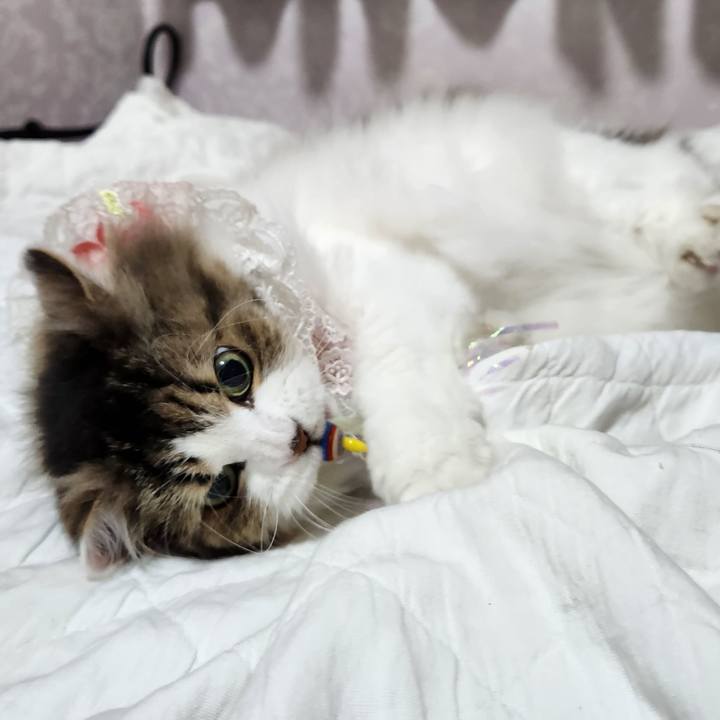 A1d1cc9e df04 4a80 832c 89504df2e849 1751115995431