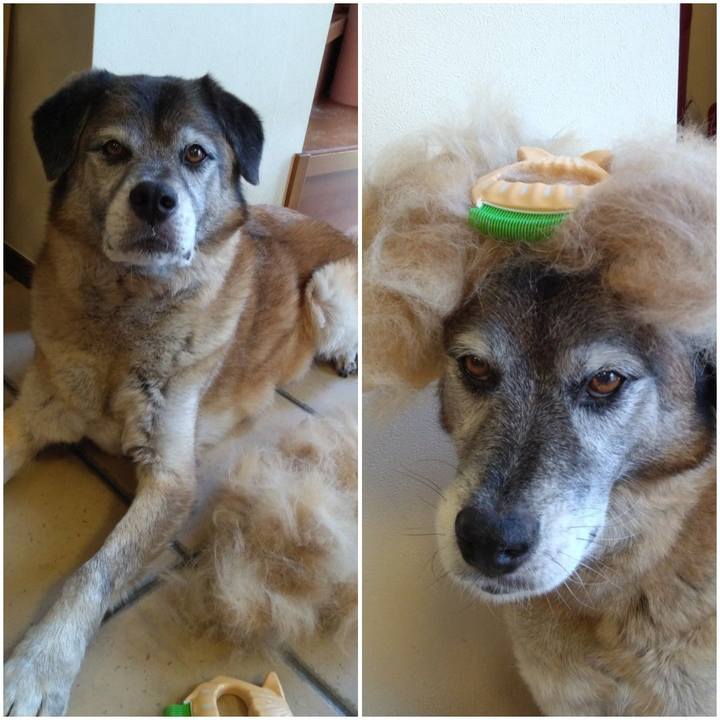 A1d1d984 ec7d 418e 994a cabcf92ad188 1564896734215