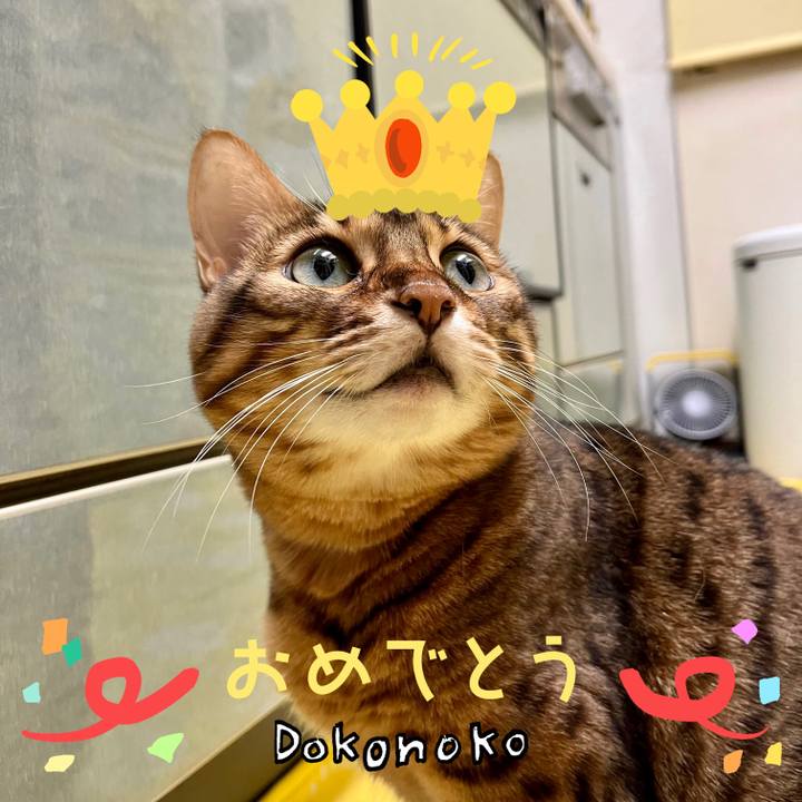 A1d1e110 9ec7 4610 9eca 176dc0c8056c 1686014707573