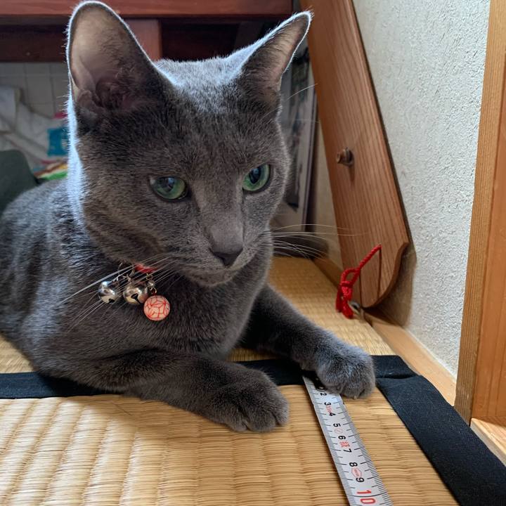 A1d21069 776e 4804 8d57 b5fa72483ba0 1591265168200