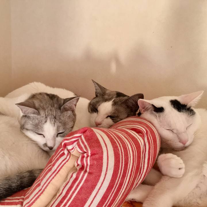 A1d22a75 f3d3 4876 9a84 7370560ff548 1515849438515