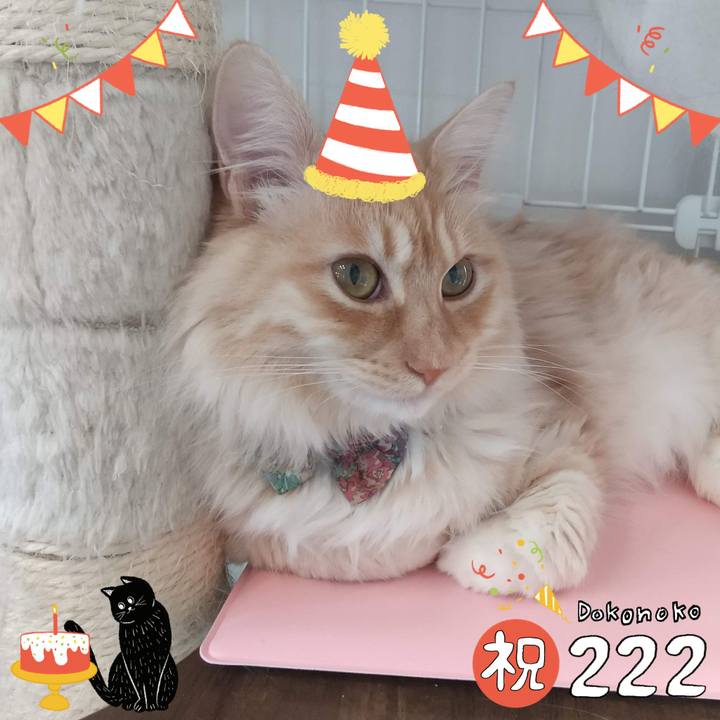 A1d2311f 387a 4b44 83fa 35aec9c96b7a 1645491768560