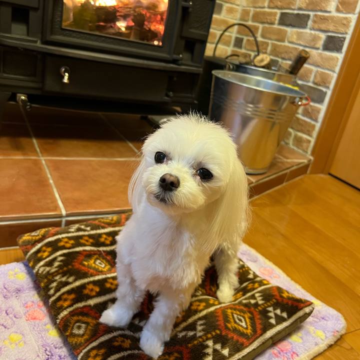 A1d234b8 1656 42b7 9816 b1915fe27f82 1768701217494