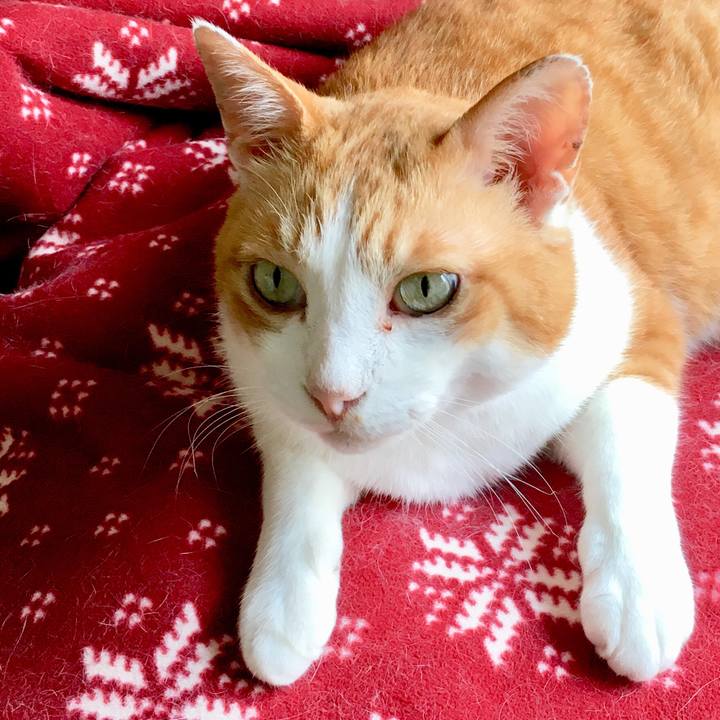 A1d2350b 8014 4de2 8cfc b4c7edaea486 1564385973617