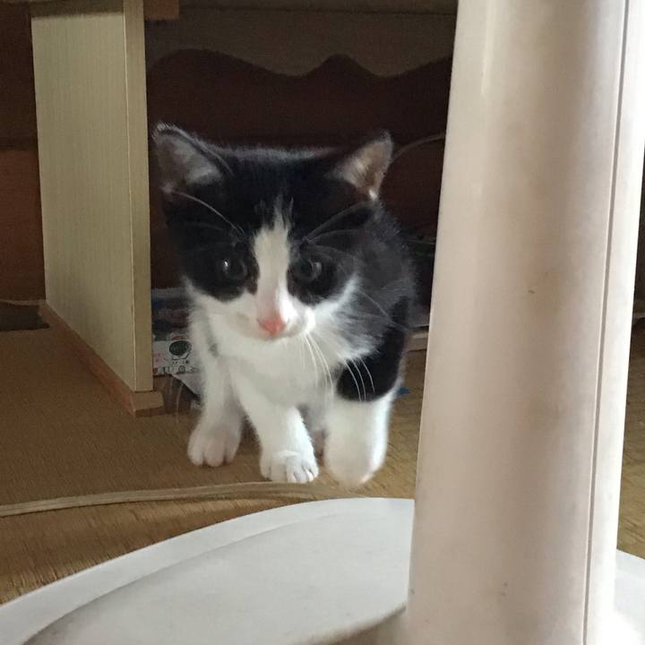 A1d2606c 5f8e 4162 ae04 b392fc7fe58c 1624613192189