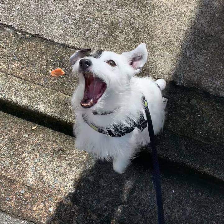 A1d26eeb 1988 4859 b572 f2c6ebd6bbaa 1750896023093